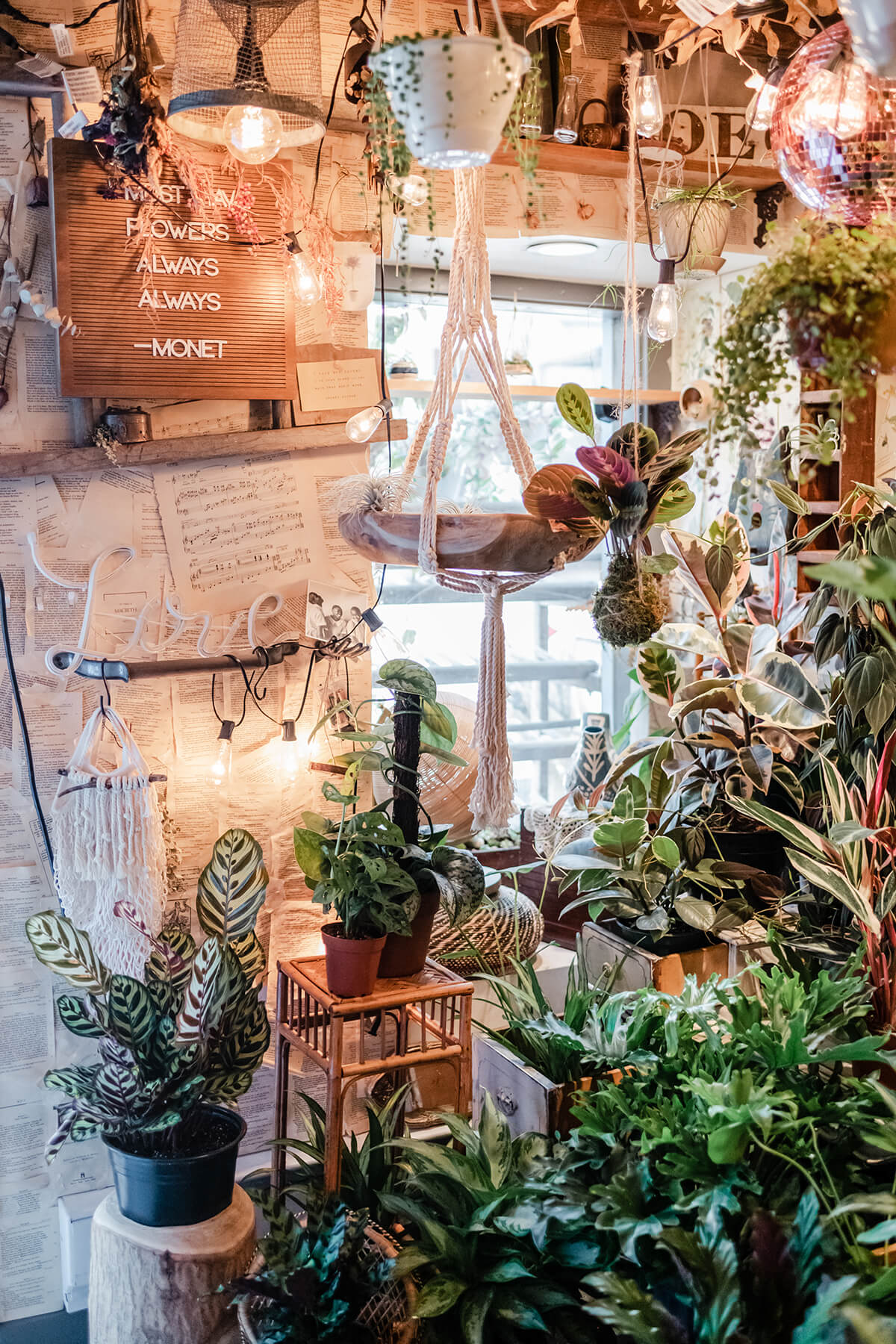 Garden Nook Plants